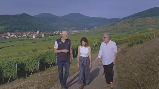Saison 17 - Épisode 10 : Curieux Bégin en Alsace