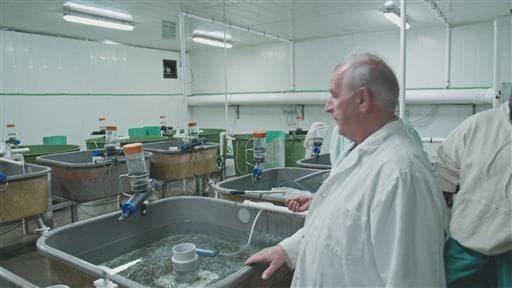 Saison 2 - Épisode 2 : Un poisson dans l'eau