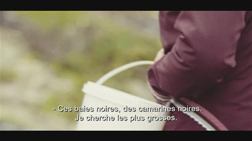 Saison 3 - Épisode 1 : Délices nordiques chez les Inuit